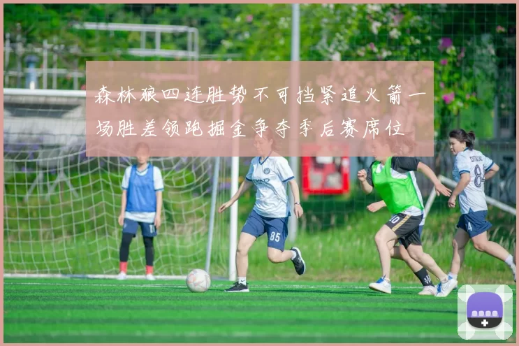 森林狼四连胜势不可挡紧追火箭一场胜差领跑掘金争夺季后赛席位